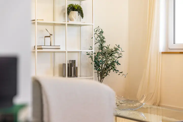 Wohnbereich mit Regal, Pflanze und Sessel